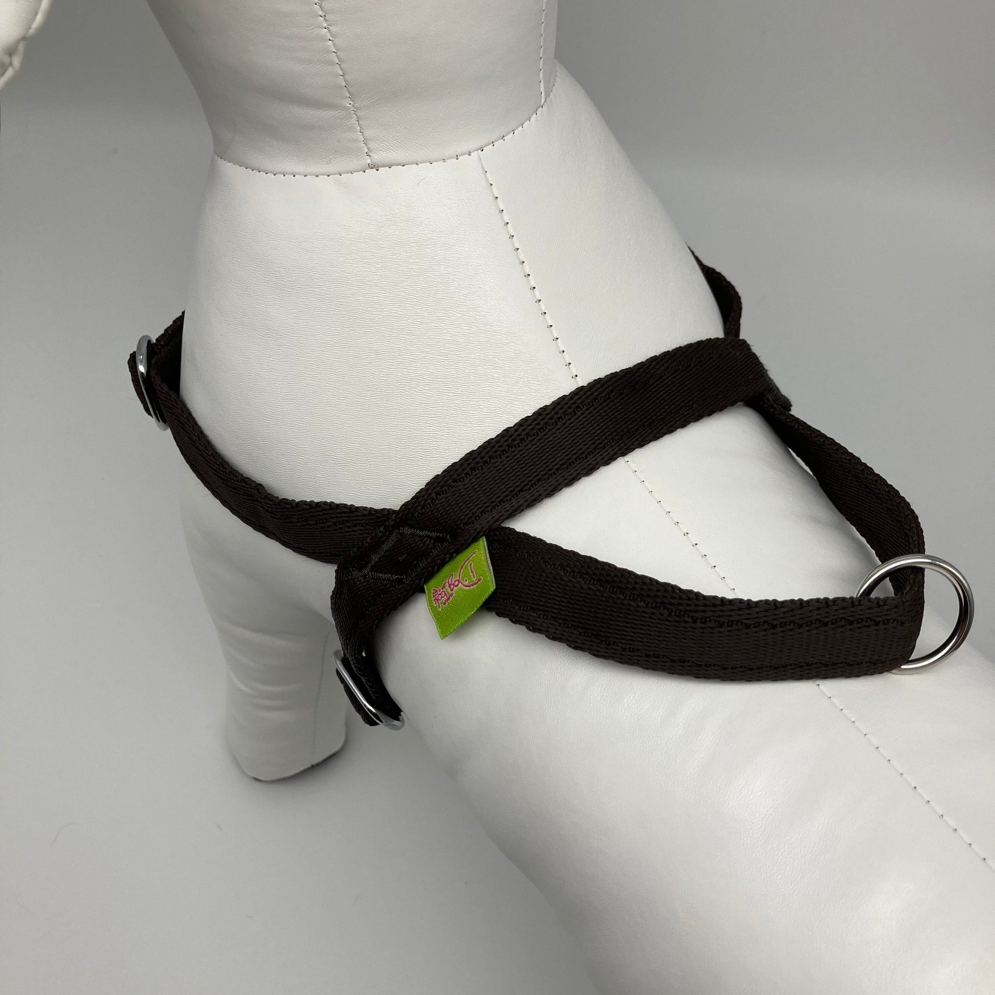 DogTools Geschirr von oben auf den Rücken gezeigt, mit einem Griff, um den Hund schnell zu greifen