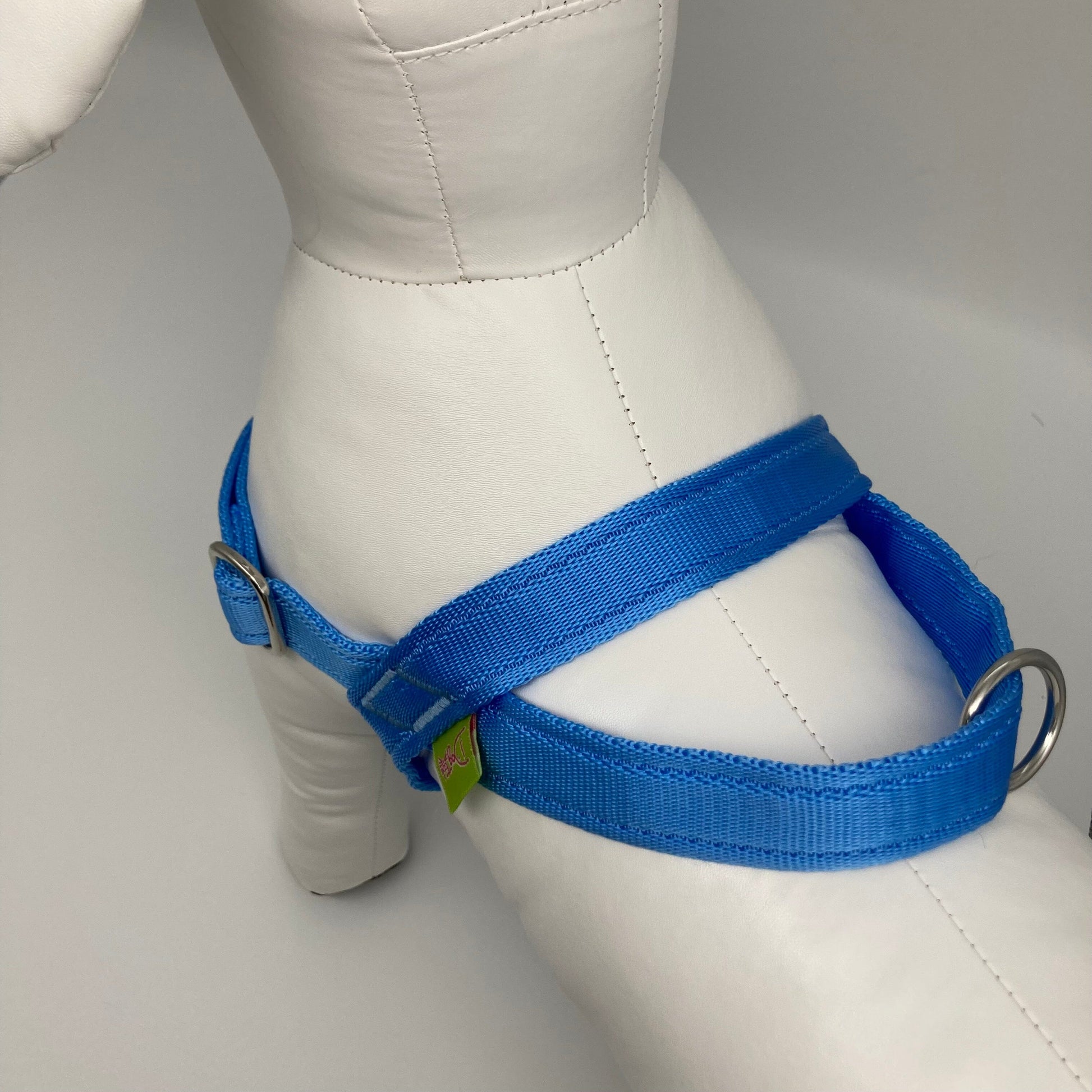 DogTools Geschirr von oben auf den Rücken gezeigt, mit einem Griff, um den Hund schnell zu greifen