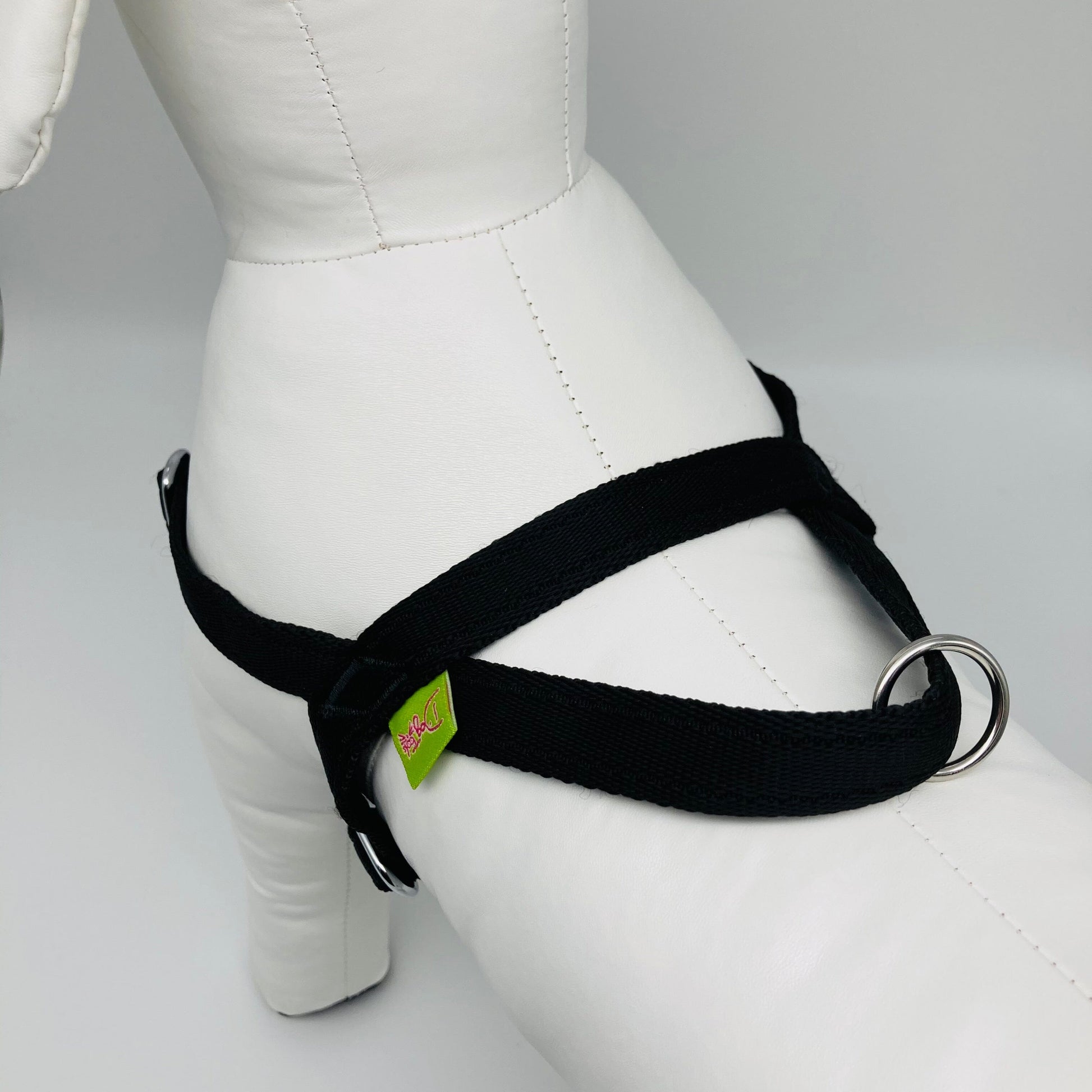 DogTools Geschirr von oben auf den Rücken gezeigt, mit einem Griff, um den Hund schnell zu greifen