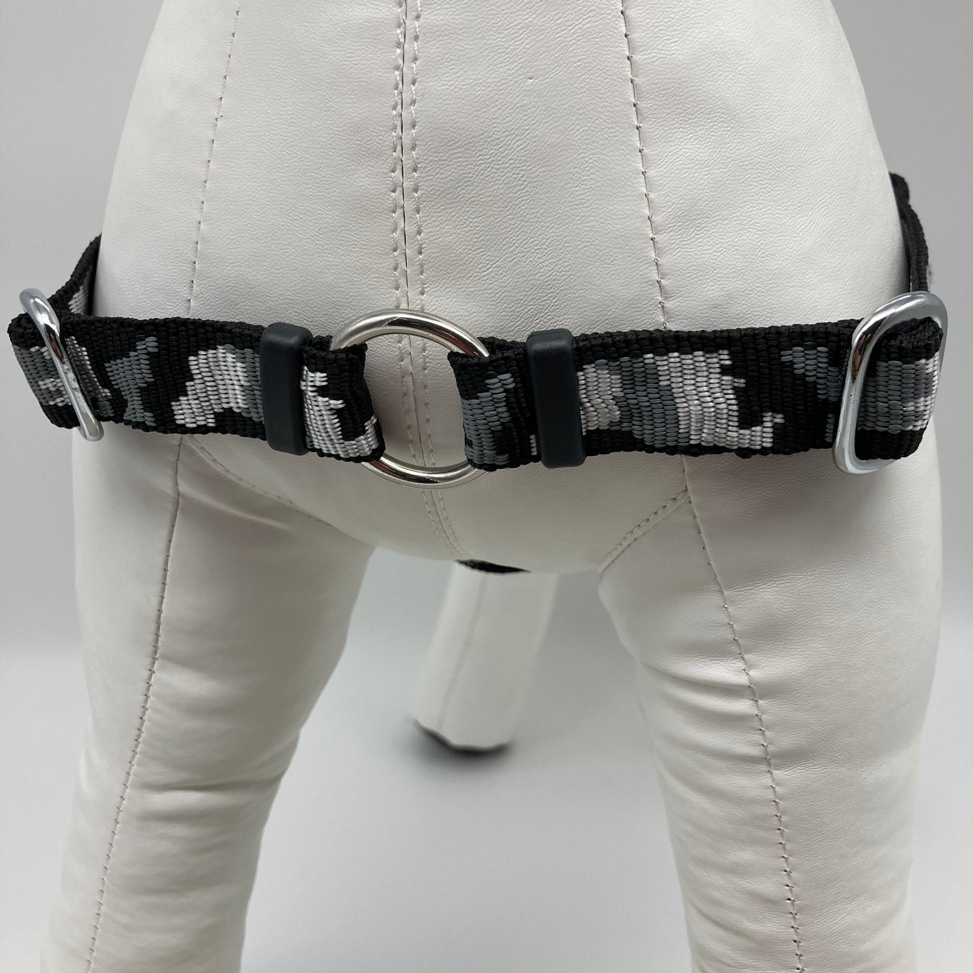 DogTools Geschirr von vorne gezeigt, mit einem Ring zum Befestigen der Leine, damit der Hund von selbst aufhört zu ziehen