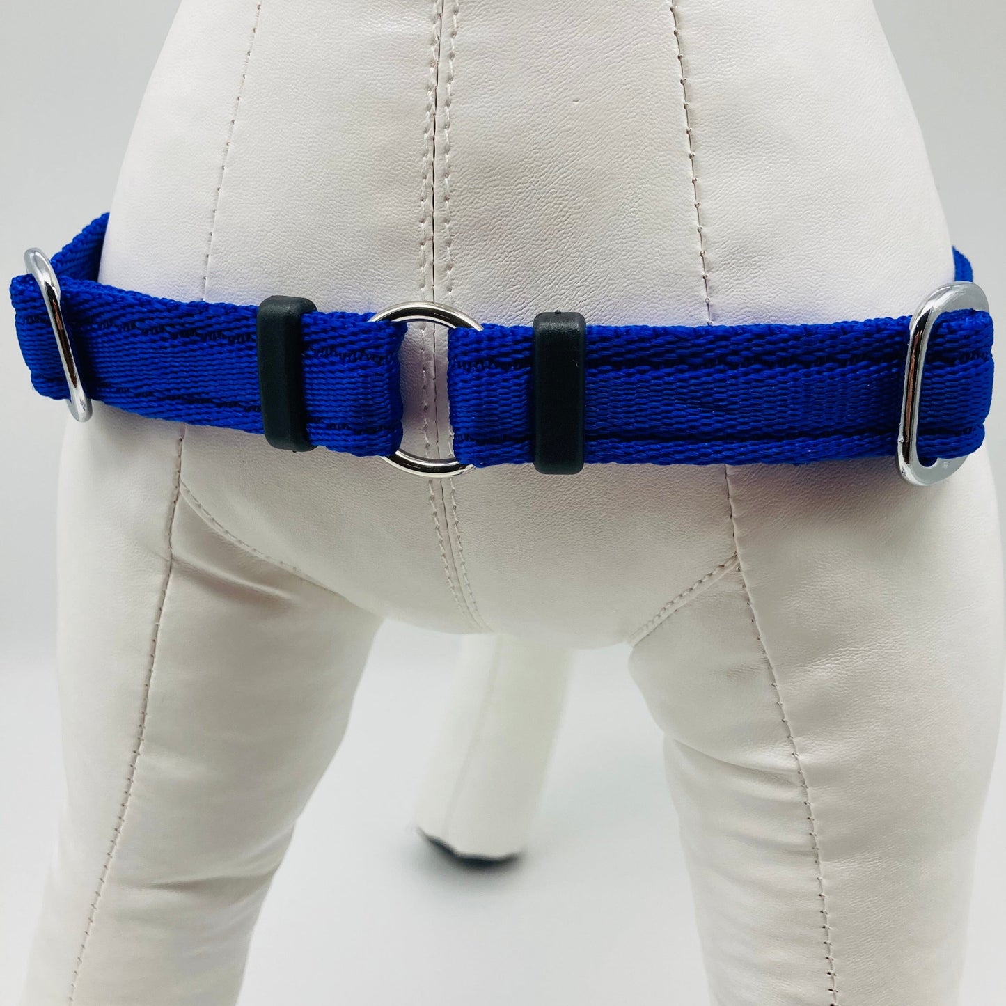 DogTools Geschirr von vorne gezeigt, mit einem Ring zum Befestigen der Leine, damit der Hund von selbst aufhört zu ziehen