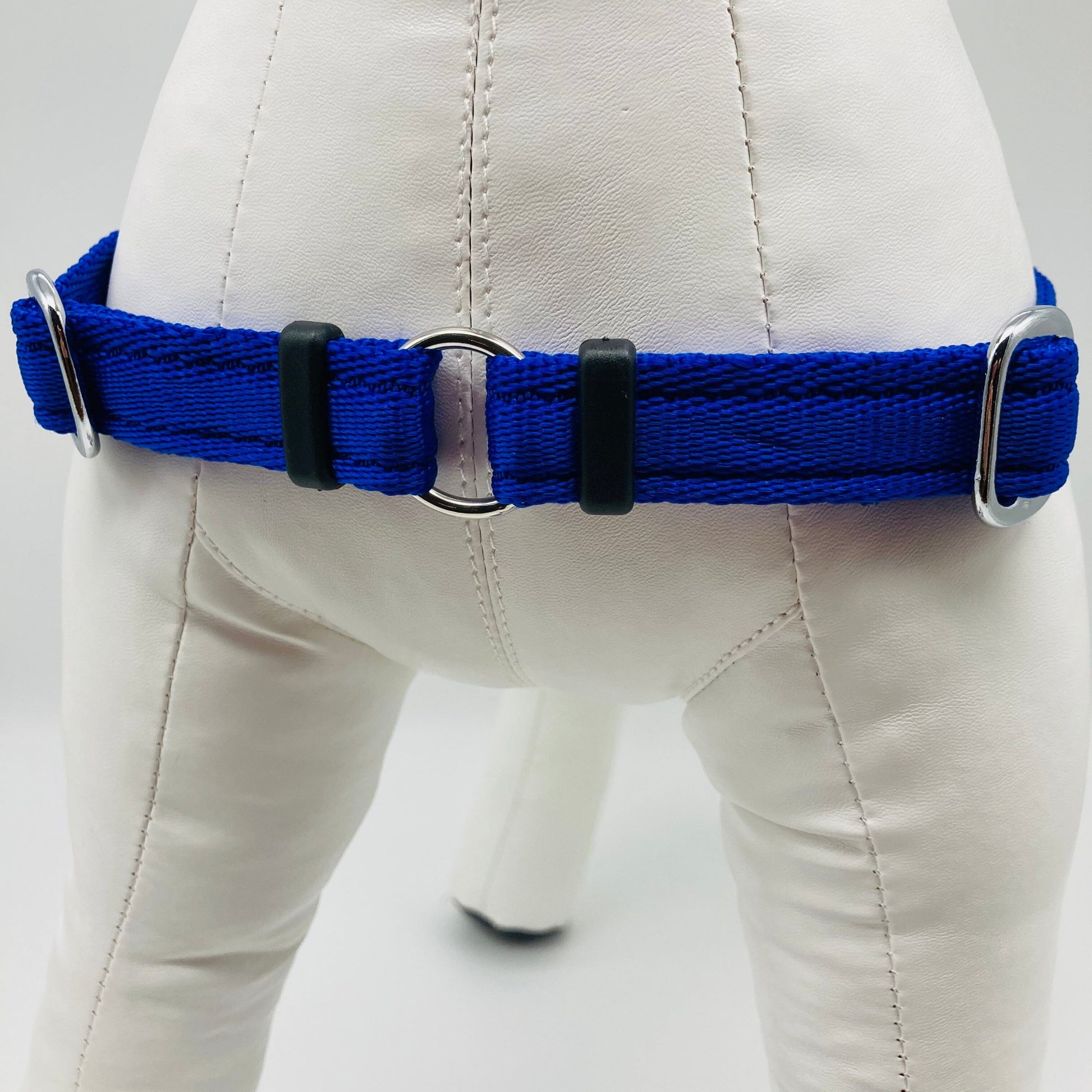 DogTools Geschirr von vorne gezeigt, mit einem Ring zum Befestigen der Leine, damit der Hund von selbst aufhört zu ziehen