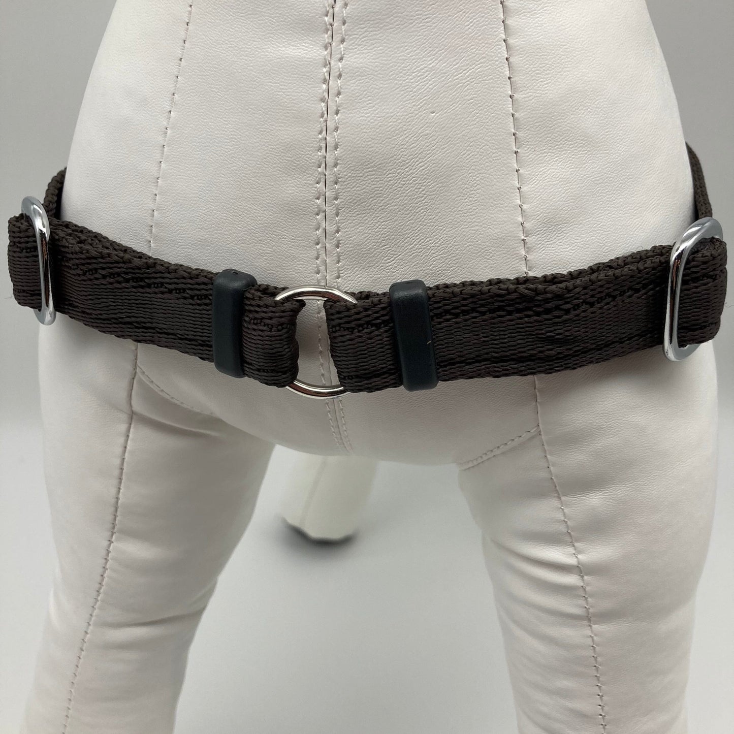 DogTools Geschirr von vorne gezeigt, mit einem Ring zum Befestigen der Leine, damit der Hund von selbst aufhört zu ziehen