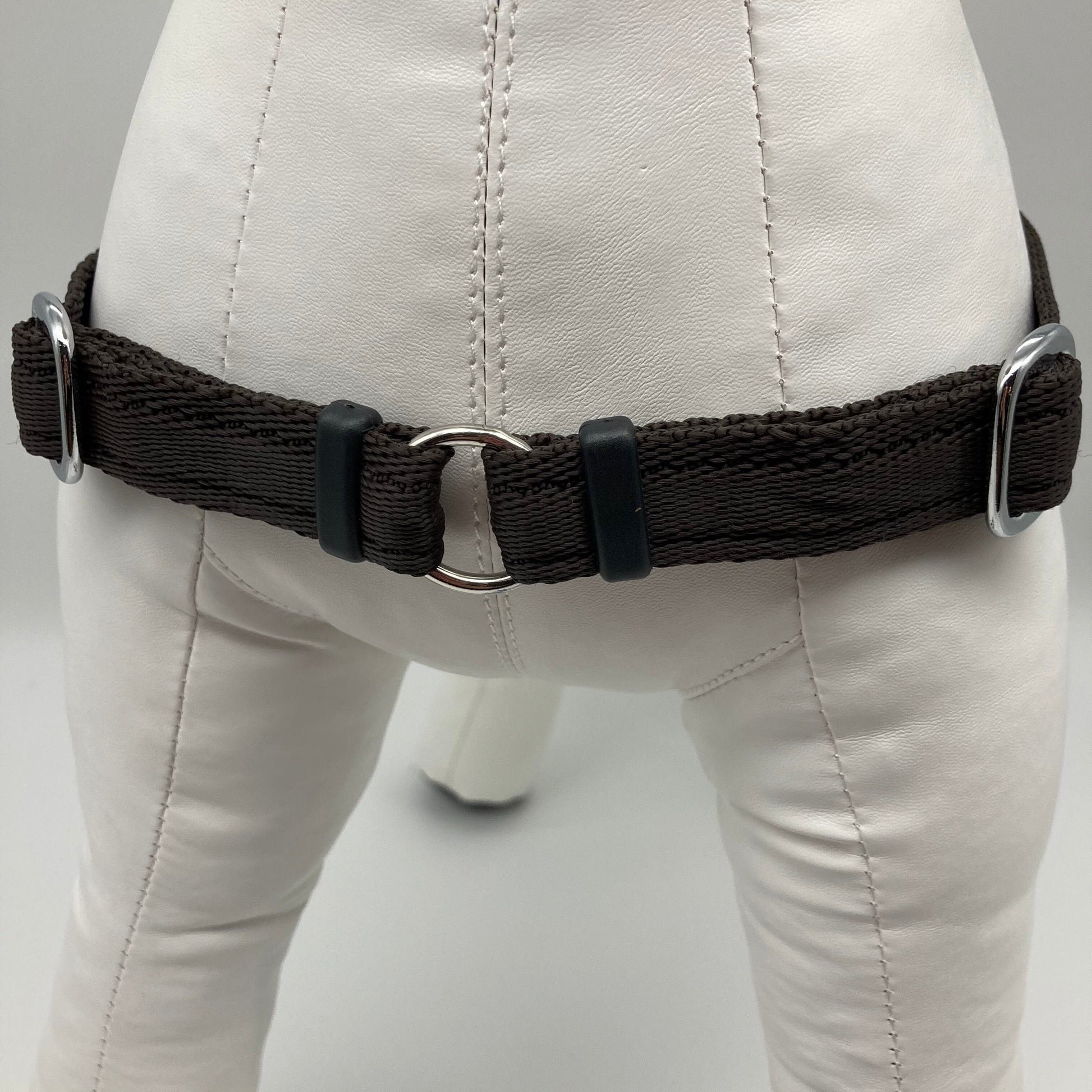 DogTools Geschirr von vorne gezeigt, mit einem Ring zum Befestigen der Leine, damit der Hund von selbst aufhört zu ziehen