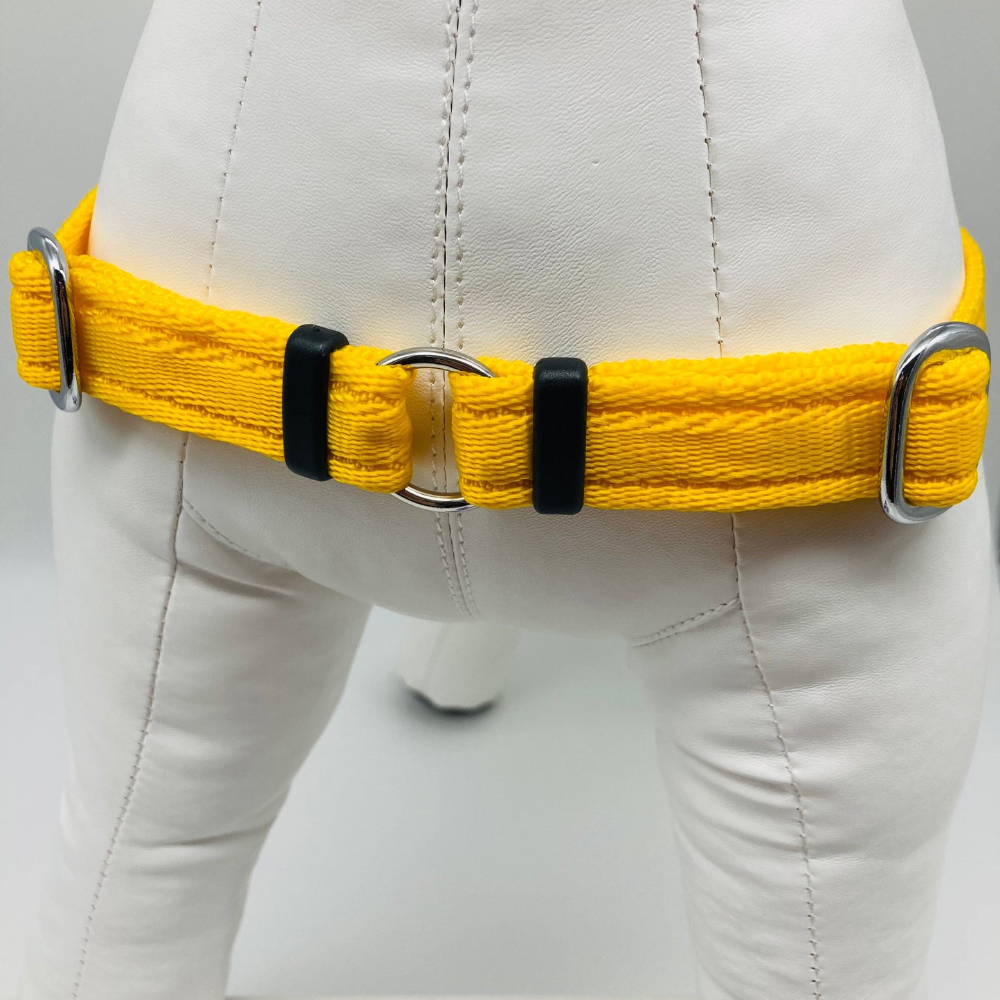 DogTools Geschirr von vorne gezeigt, mit einem Ring zum Befestigen der Leine, damit der Hund von selbst aufhört zu ziehen