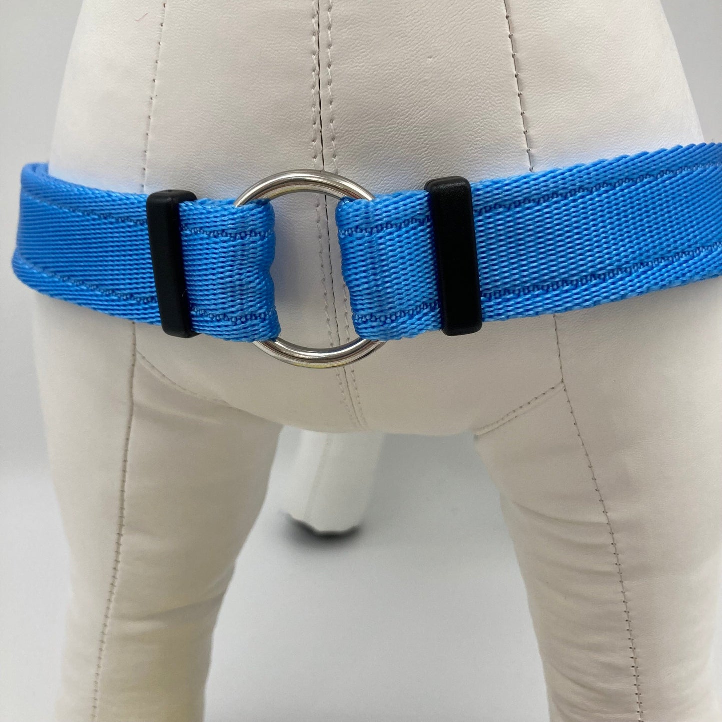 DogTools Geschirr von vorne gezeigt, mit einem Ring zum Befestigen der Leine, damit der Hund von selbst aufhört zu ziehen