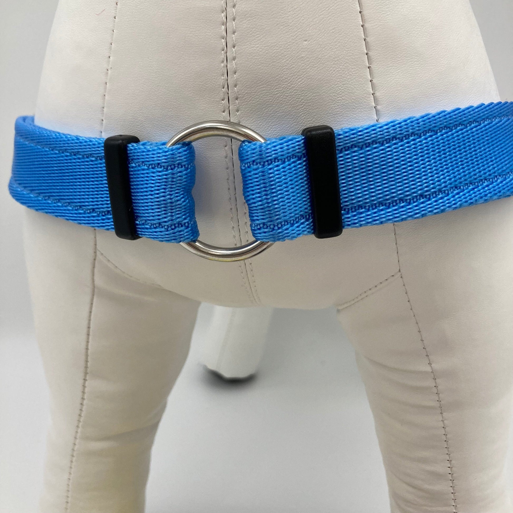 DogTools Geschirr von vorne gezeigt, mit einem Ring zum Befestigen der Leine, damit der Hund von selbst aufhört zu ziehen