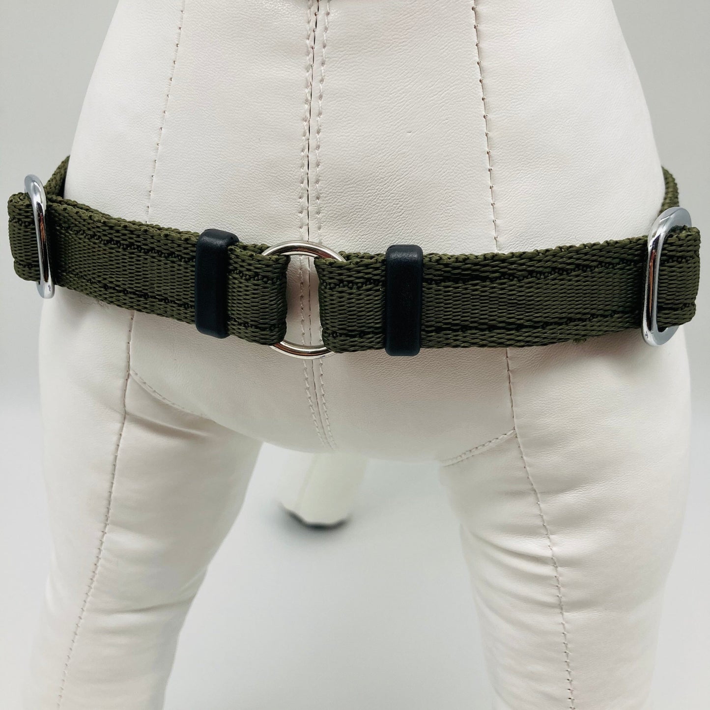 DogTools Geschirr von vorne gezeigt, mit einem Ring zum Befestigen der Leine, damit der Hund von selbst aufhört zu ziehen