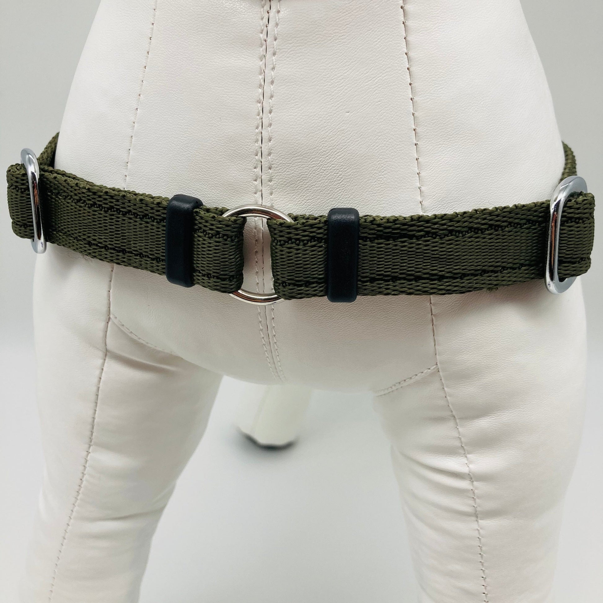 DogTools Geschirr von vorne gezeigt, mit einem Ring zum Befestigen der Leine, damit der Hund von selbst aufhört zu ziehen