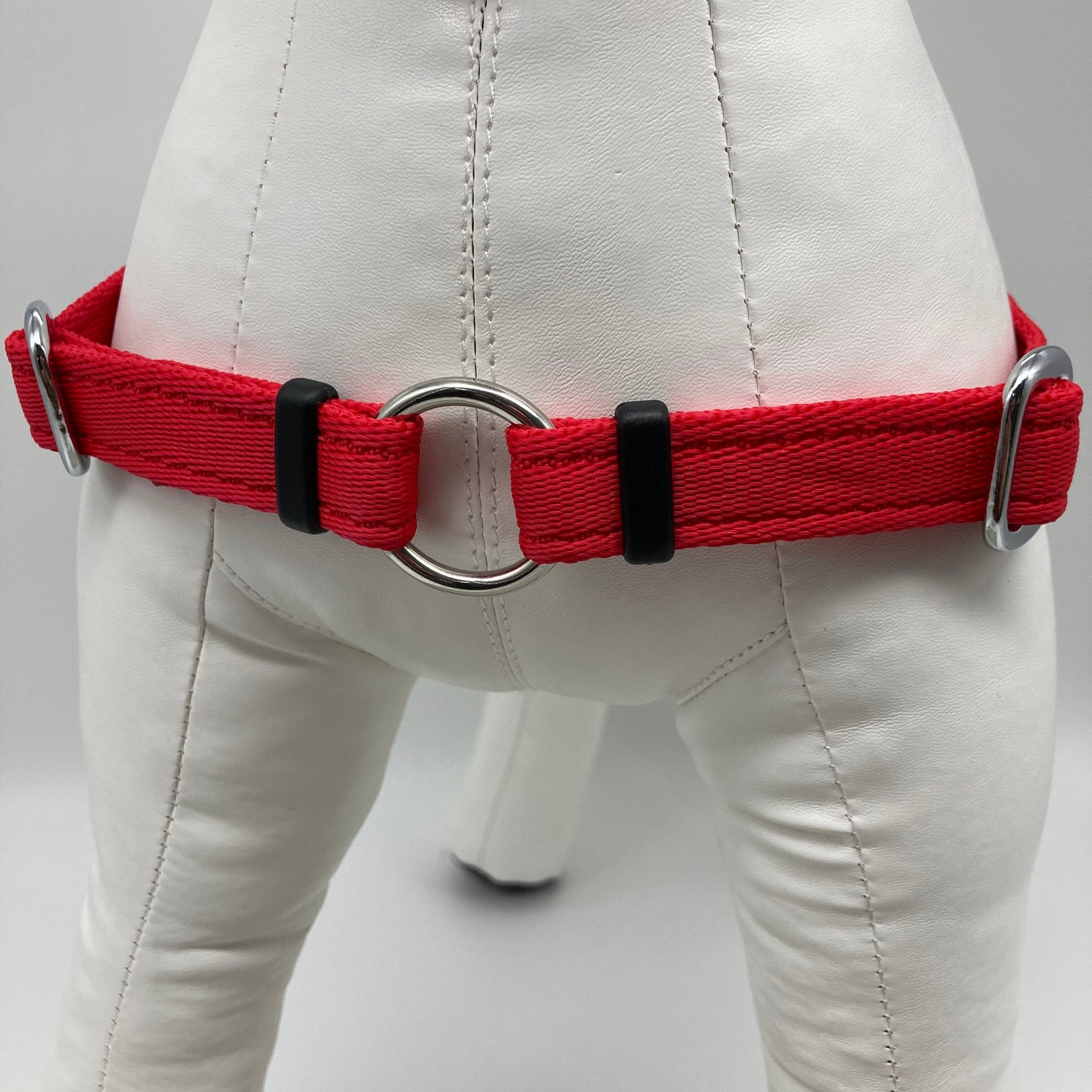 DogTools Geschirr von vorne gezeigt, mit einem Ring zum Befestigen der Leine, damit der Hund von selbst aufhört zu ziehen