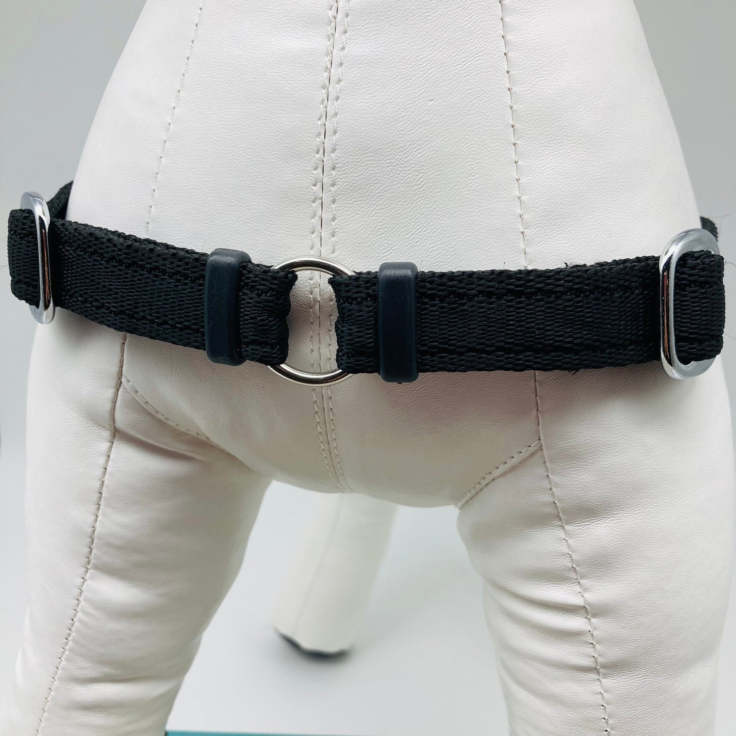 DogTools Geschirr von vorne gezeigt, mit einem Ring zum Befestigen der Leine, damit der Hund von selbst aufhört zu ziehen