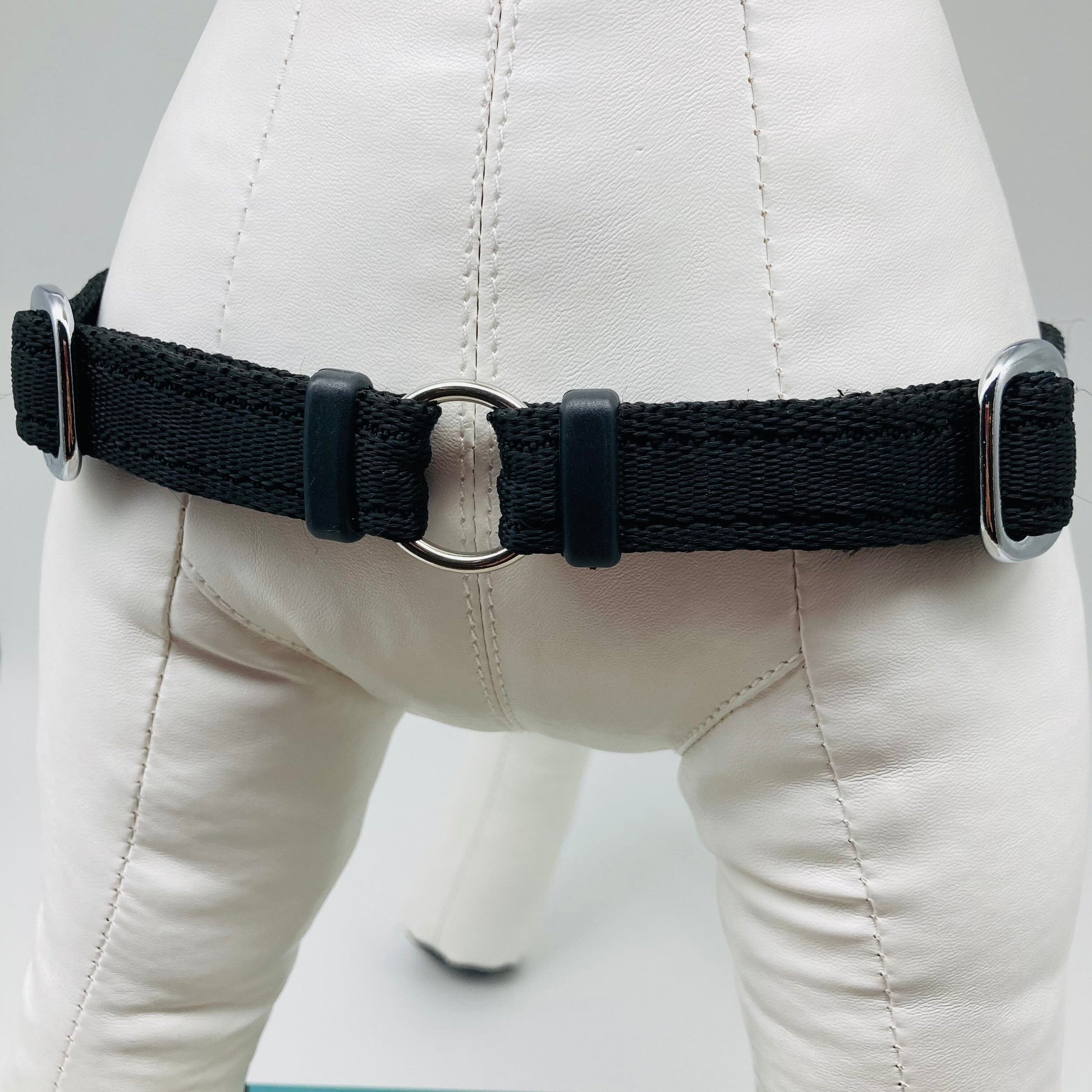 DogTools Geschirr von vorne gezeigt, mit einem Ring zum Befestigen der Leine, damit der Hund von selbst aufhört zu ziehen