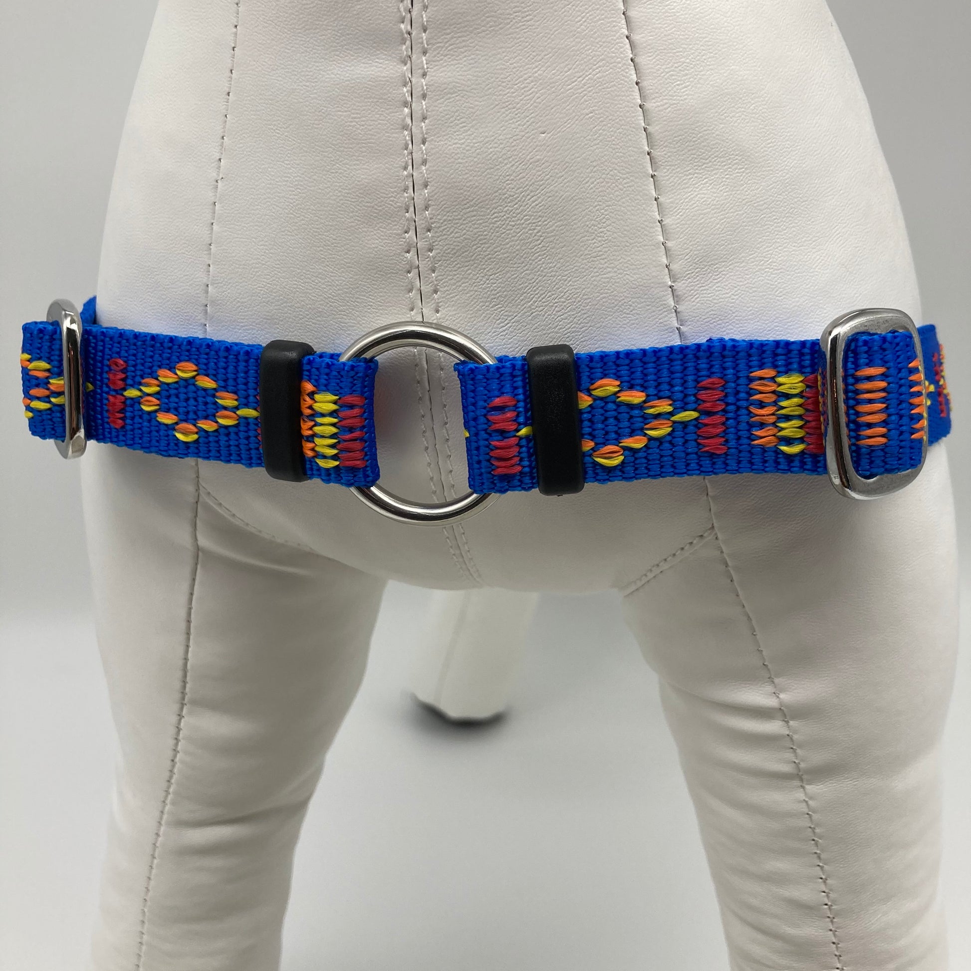 DogTools Geschirr von vorne gezeigt, mit einem Ring zum Befestigen der Leine, damit der Hund von selbst aufhört zu ziehen