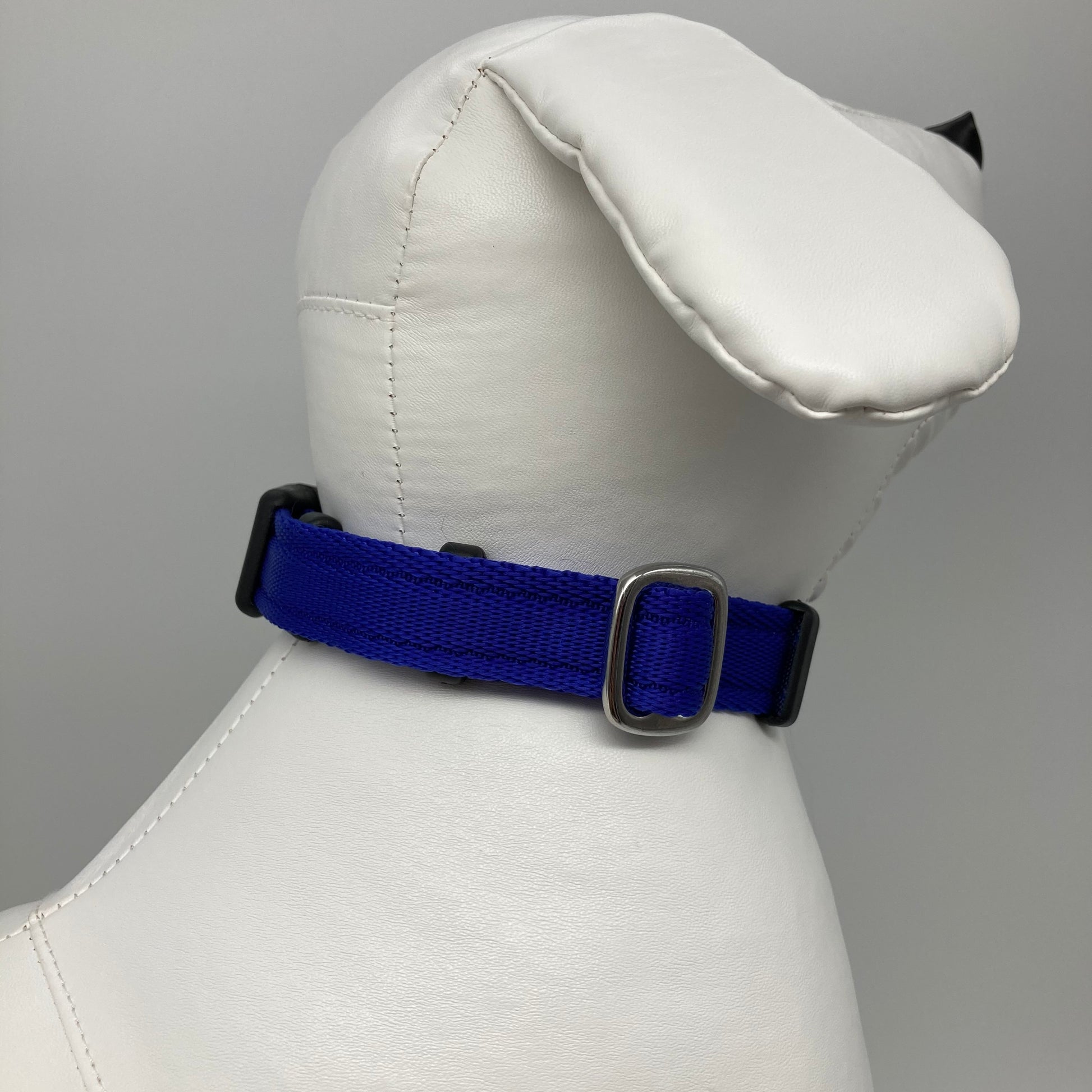 blue collar displayed on a stuffed toy (dog), showing the back of the head and the collar from behind