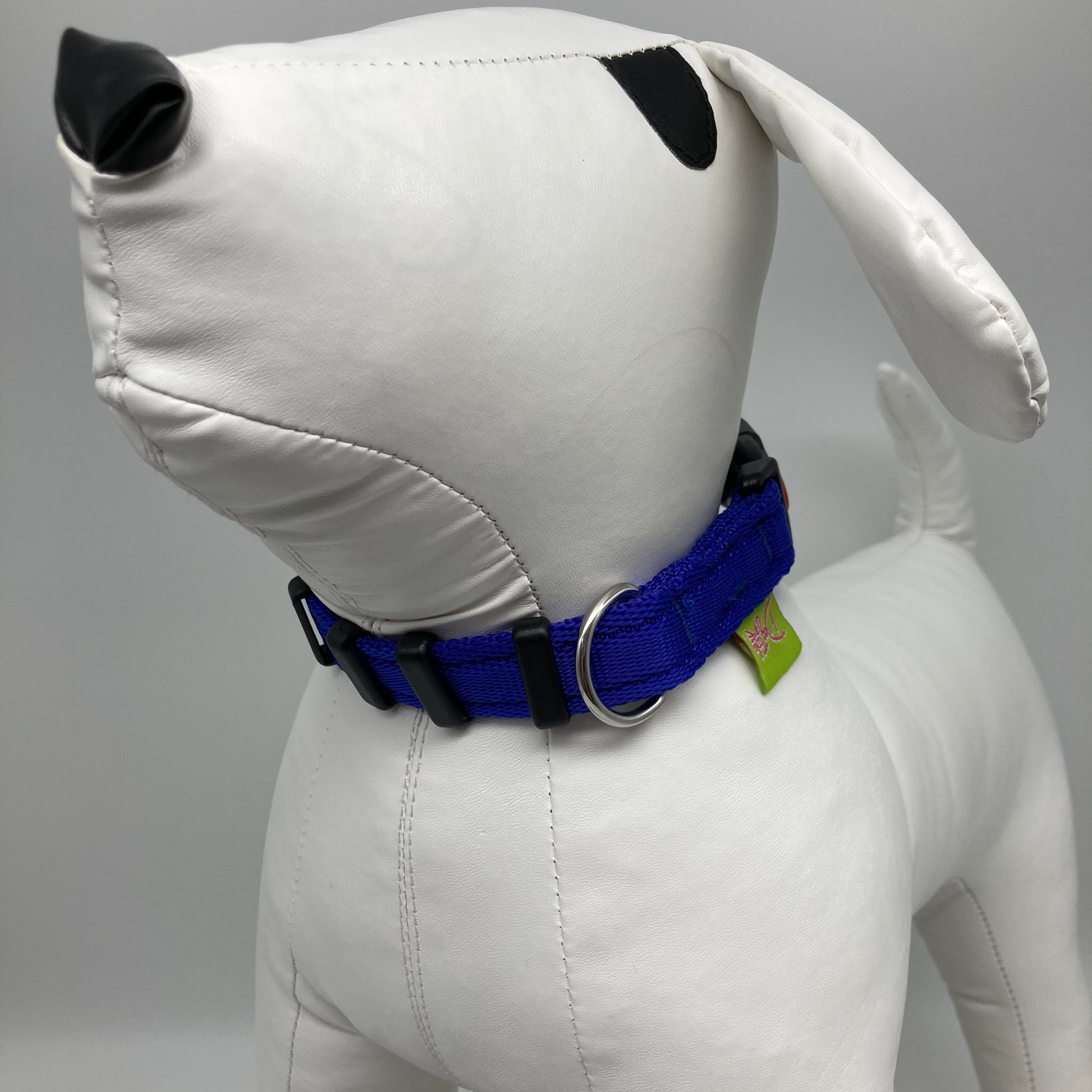 blue collar displayed on a stuffed toy (dog), from the front of the dog, showing its head and torso