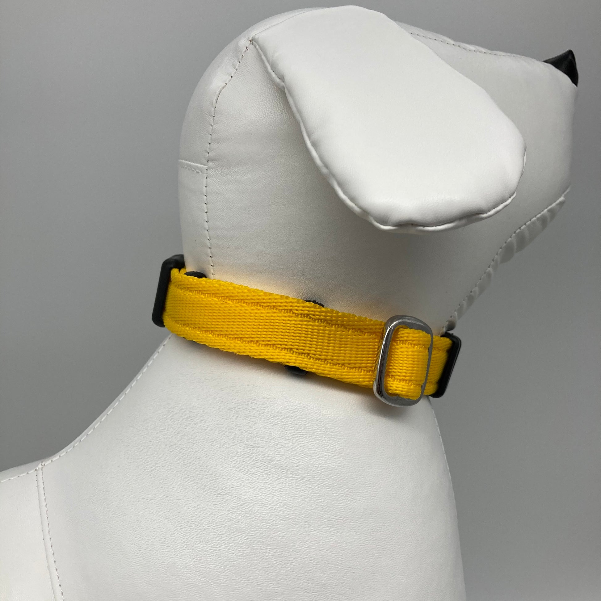 yellow collar displayed on a stuffed toy (dog), showing the back of the head and the collar from behind