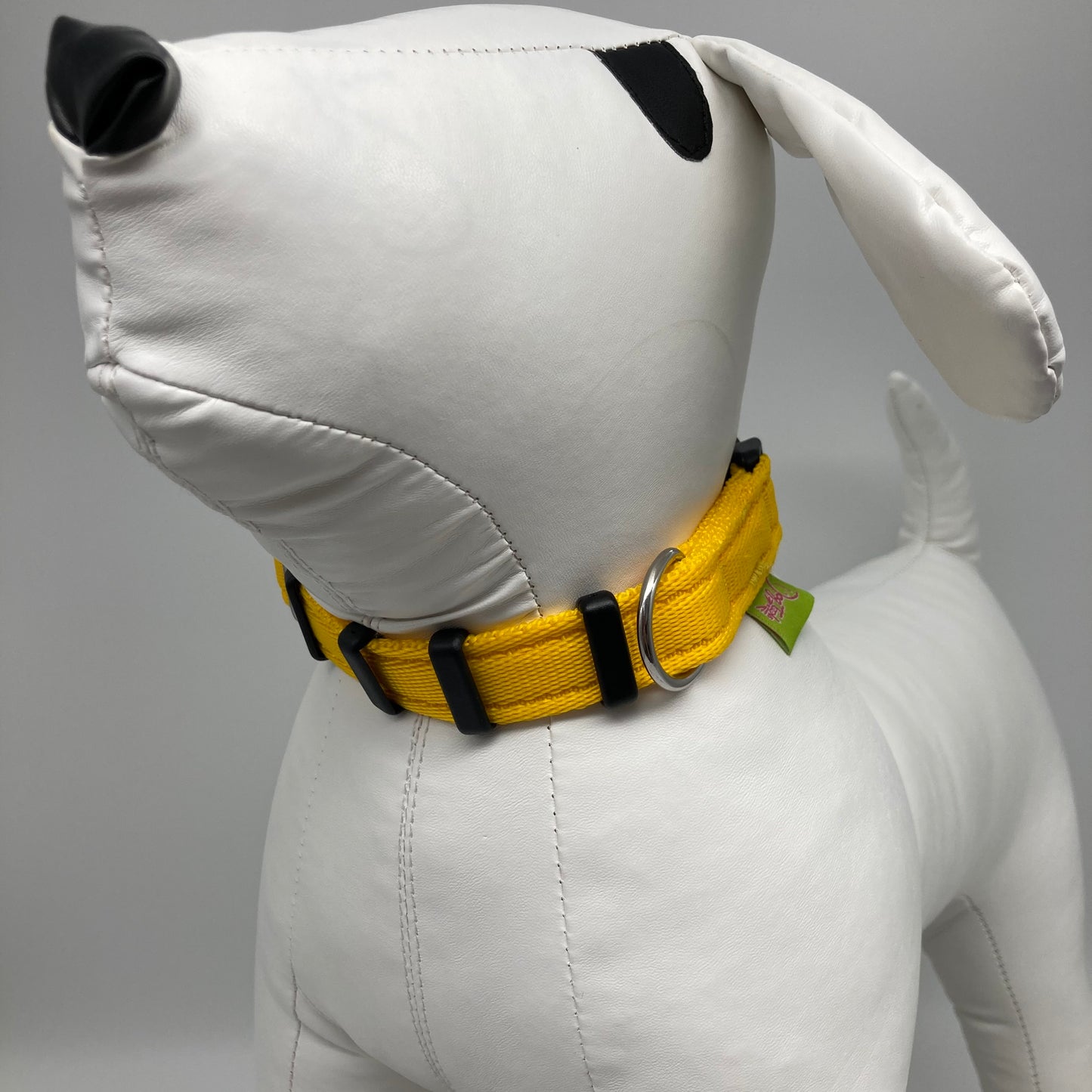 yellow collar displayed on a stuffed toy (dog), from the front of the dog, showing its head and torso