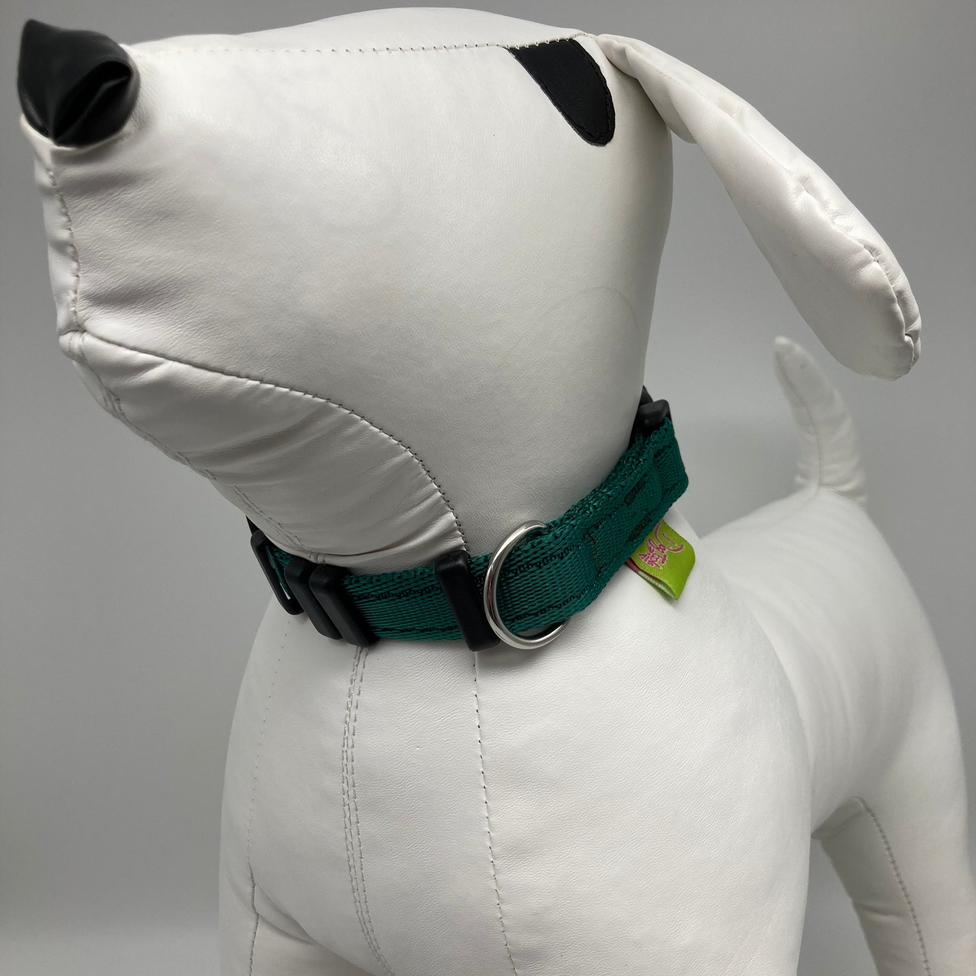 green collar displayed on a stuffed toy (dog), from the front of the dog, showing its head and torso