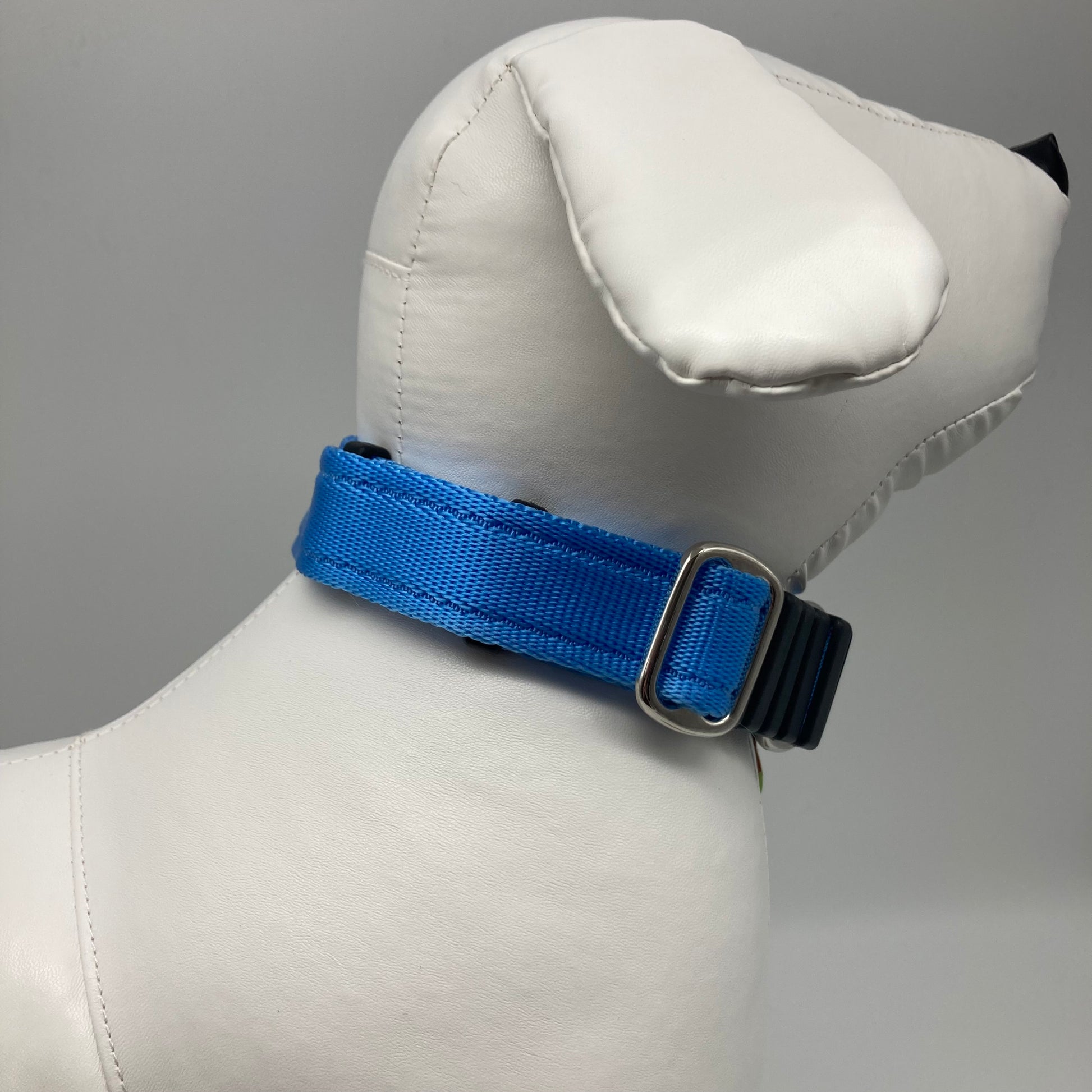 light blue collar displayed on a stuffed toy (dog), showing the back of the head and the collar from behind