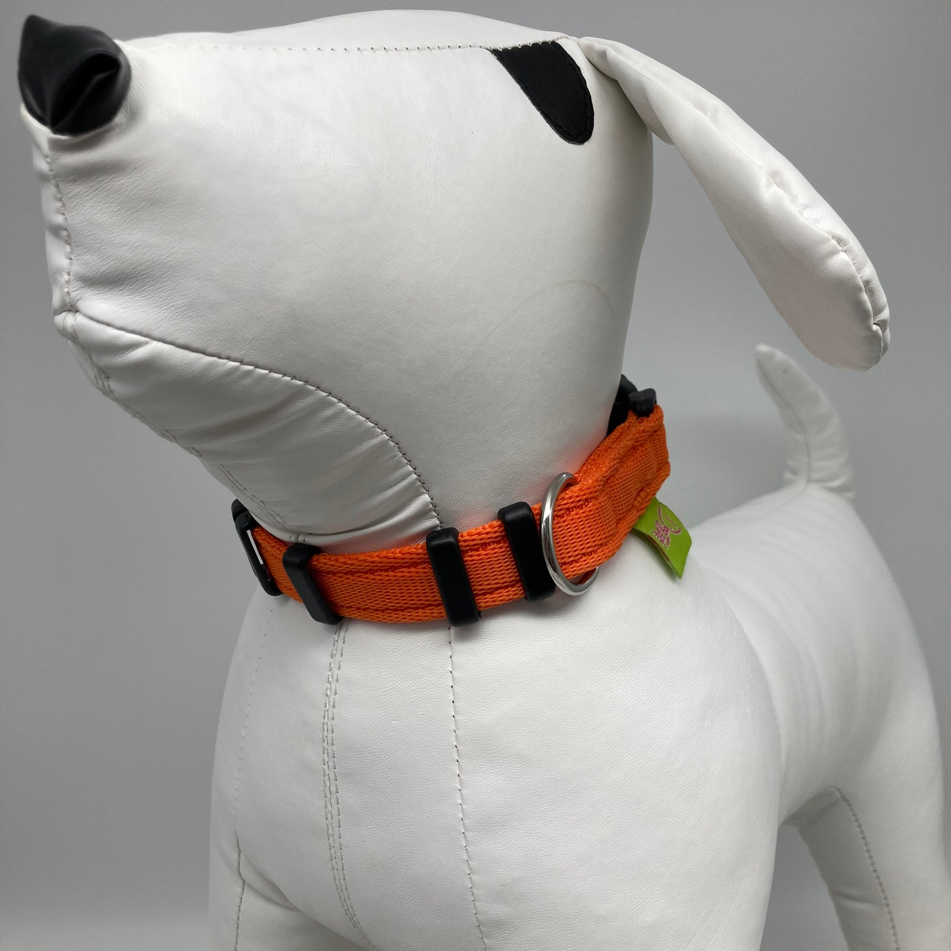 orange collar displayed on a stuffed toy (dog), from the front of the dog, showing its head and torso