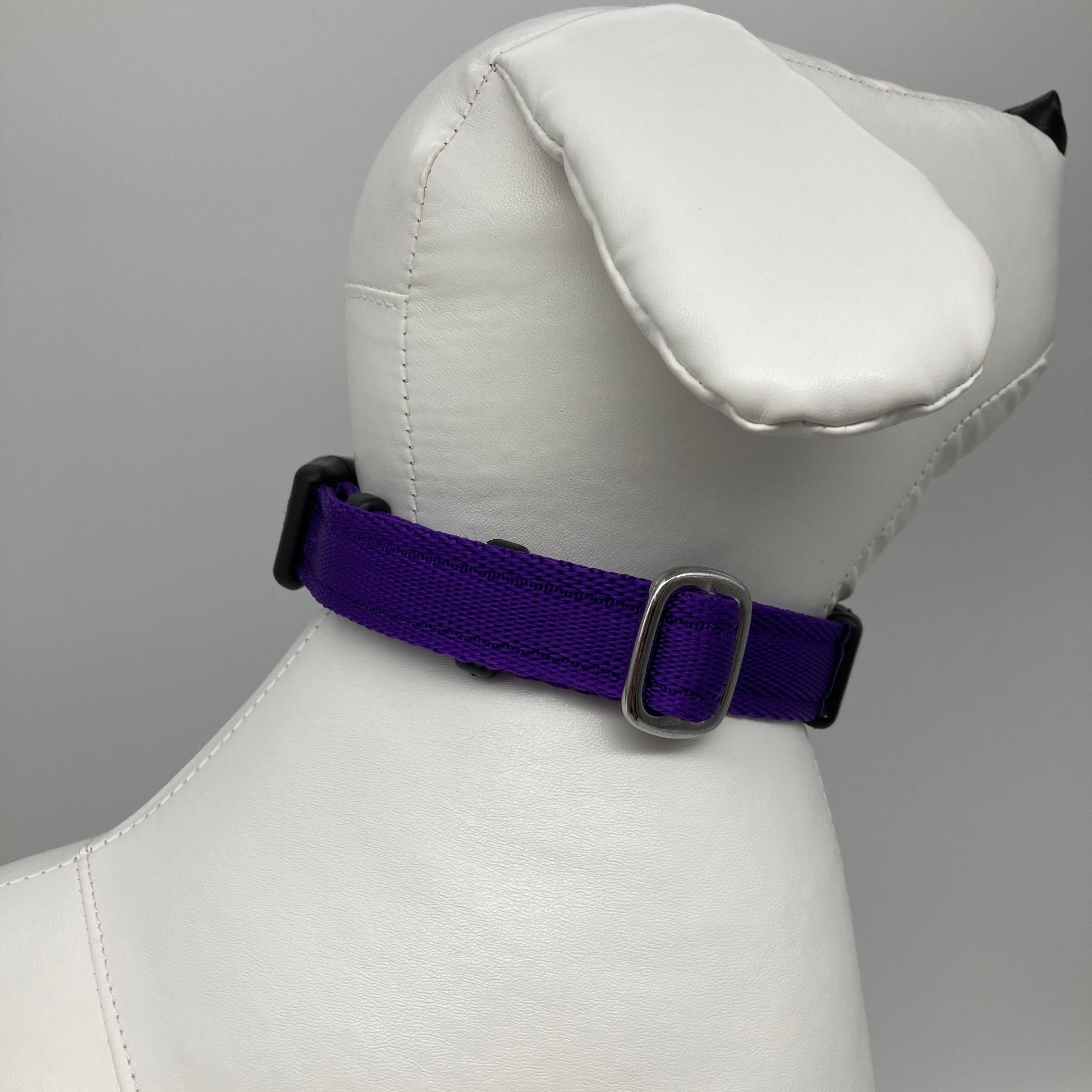 purple collar displayed on a stuffed toy (dog), showing the back of the head and the collar from behind