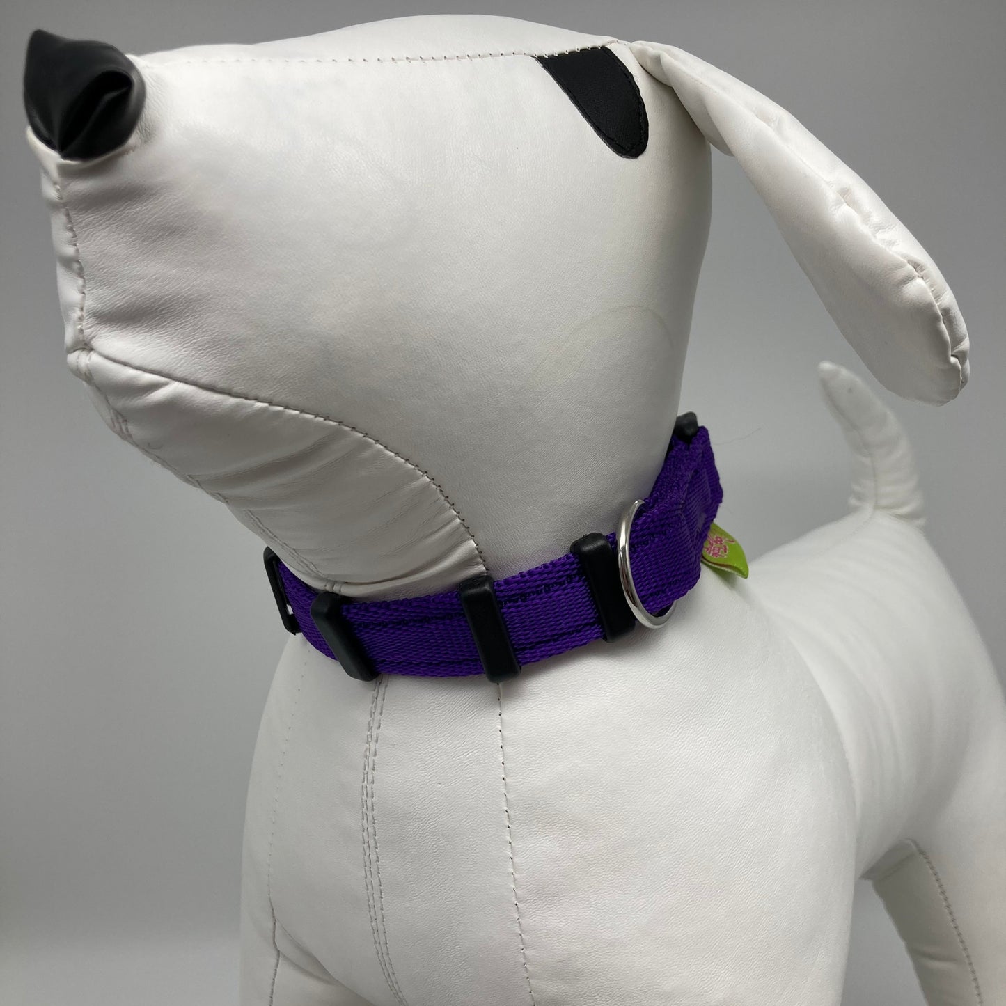 purple collar displayed on a stuffed toy (dog), from the front of the dog, showing its head and torso