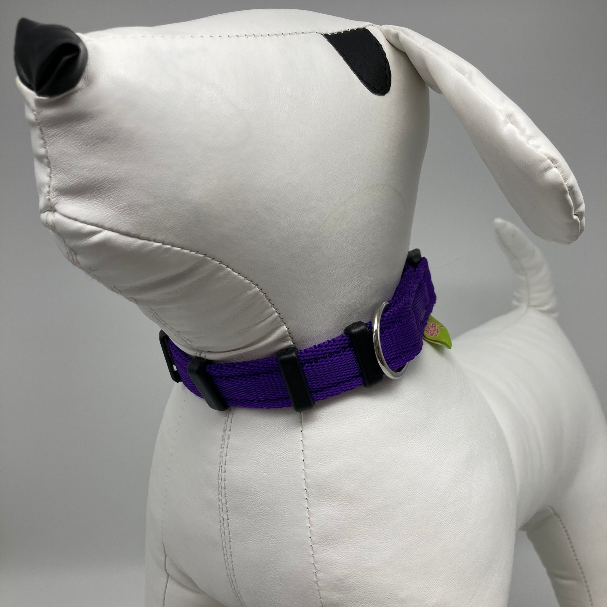 purple collar displayed on a stuffed toy (dog), from the front of the dog, showing its head and torso
