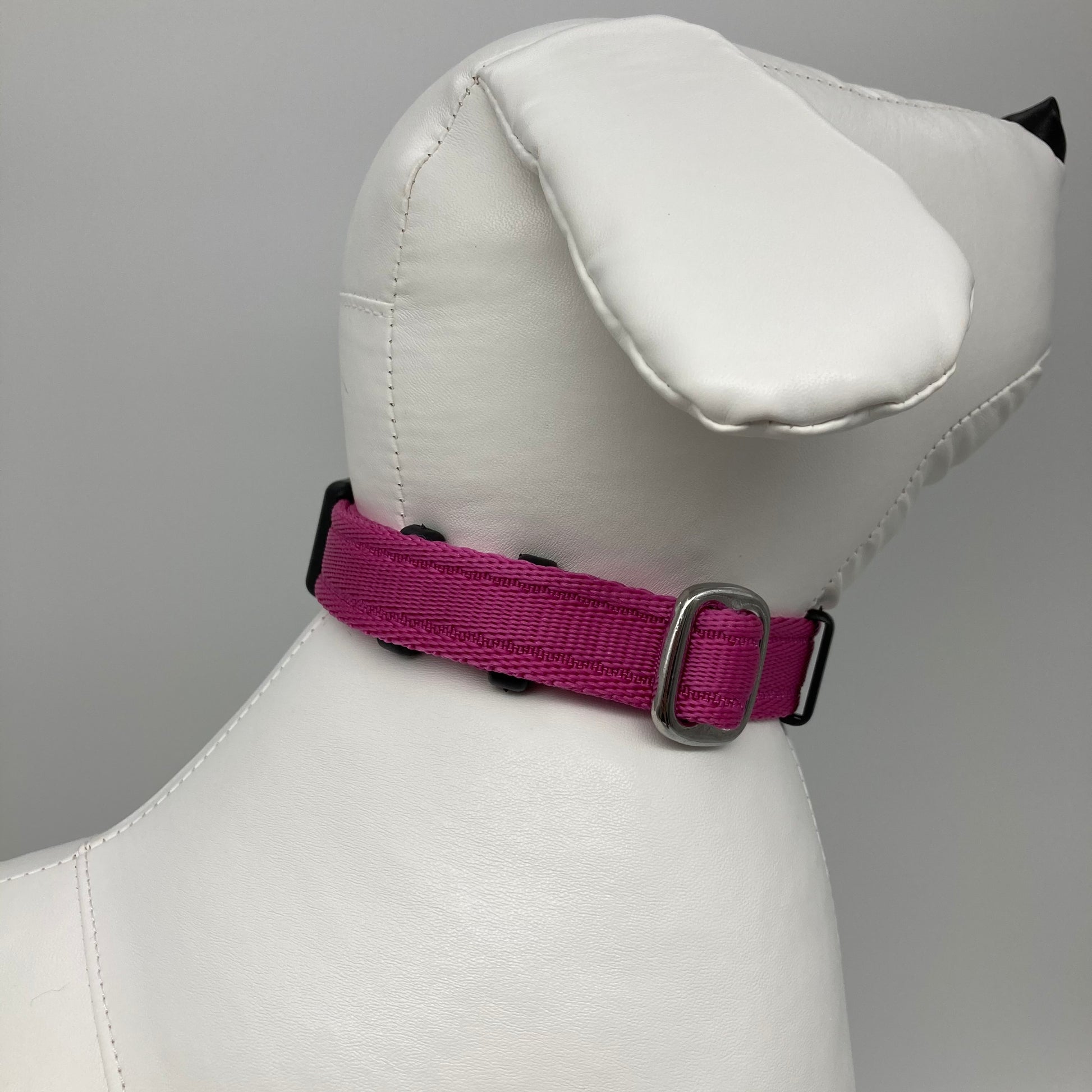 pink collar displayed on a stuffed toy (dog), showing the back of the head and the collar from behind