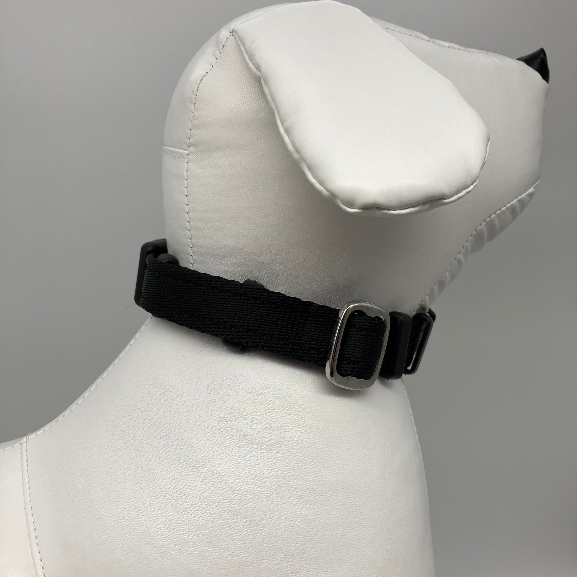 black collar displayed on a stuffed toy (dog), showing the back of the head and the collar from behind