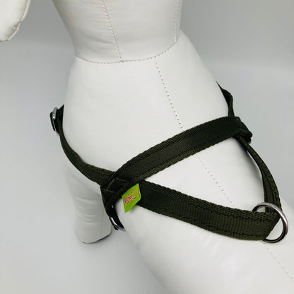 DogTools Geschirr von oben auf den Rücken gezeigt, mit einem Griff, um den Hund schnell zu greifen
