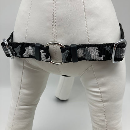 DogTools Geschirr von vorne gezeigt, mit einem Ring zum Befestigen der Leine, damit der Hund von selbst aufhört zu ziehen