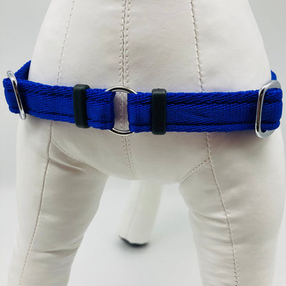 DogTools Geschirr von vorne gezeigt, mit einem Ring zum Befestigen der Leine, damit der Hund von selbst aufhört zu ziehen