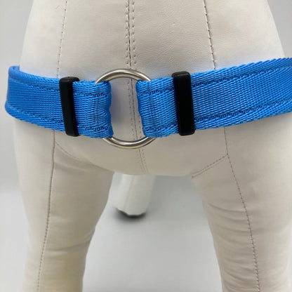 DogTools Geschirr von vorne gezeigt, mit einem Ring zum Befestigen der Leine, damit der Hund von selbst aufhört zu ziehen