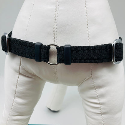 DogTools Geschirr von vorne gezeigt, mit einem Ring zum Befestigen der Leine, damit der Hund von selbst aufhört zu ziehen
