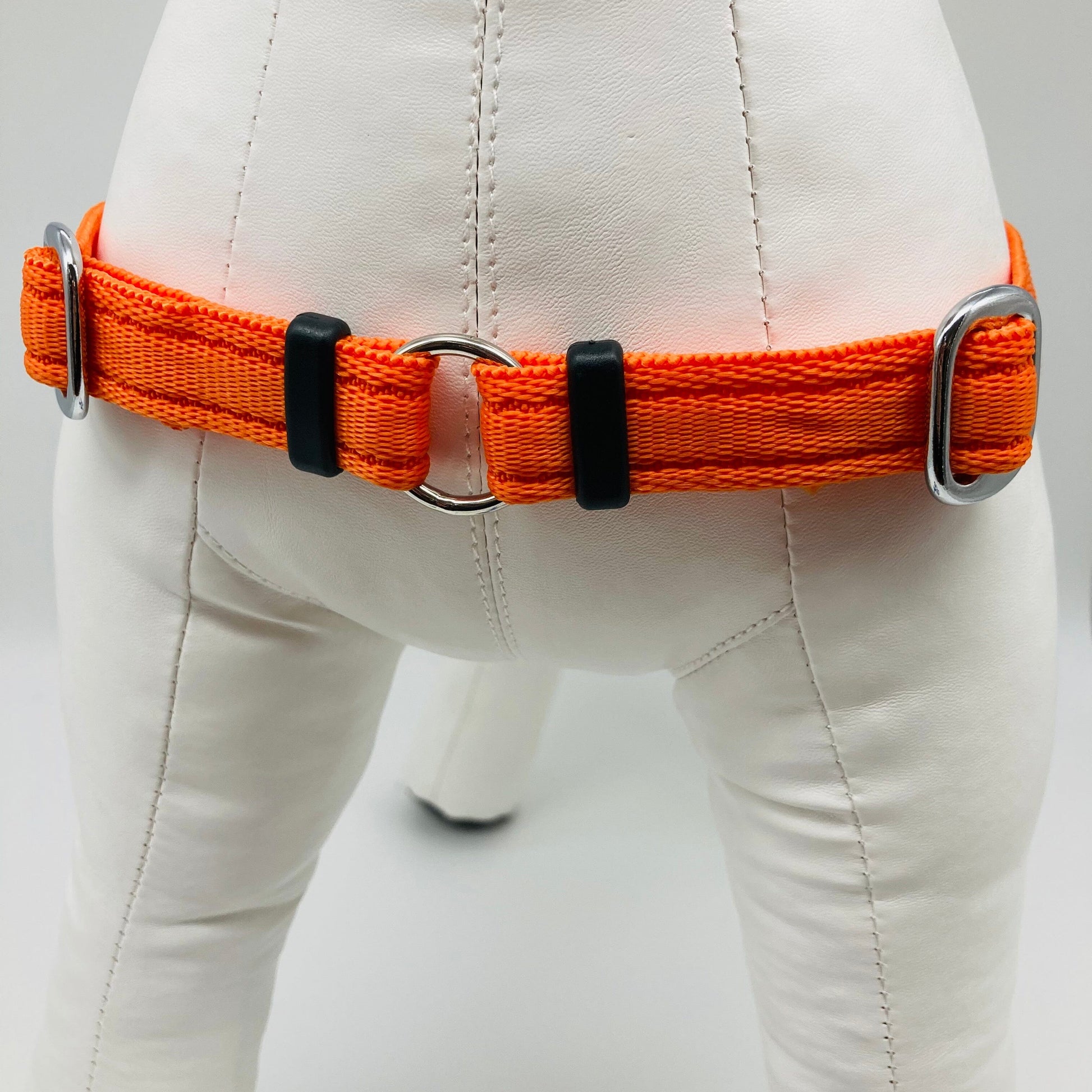 DogTools Kein pull Geschirr von vorne gezeigt, mit einem Ring zum Befestigen der Leine, damit der Hund von selbst aufhört zu ziehen