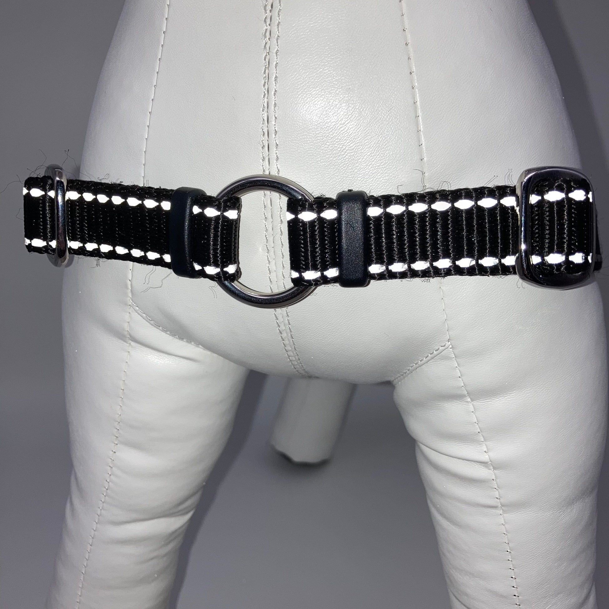 DogTools Kein pull Geschirr von vorne gezeigt, mit einem Ring zum Befestigen der Leine, damit der Hund von selbst aufhört zu ziehen