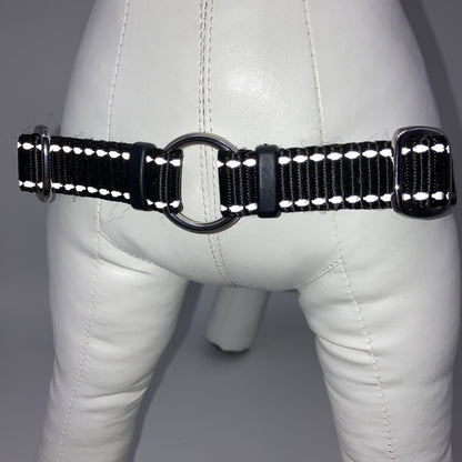 DogTools Kein pull Geschirr von vorne gezeigt, mit einem Ring zum Befestigen der Leine, damit der Hund von selbst aufhört zu ziehen