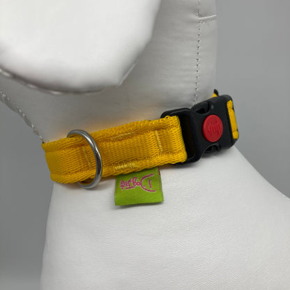 mit robusten Nähten und Verschluss