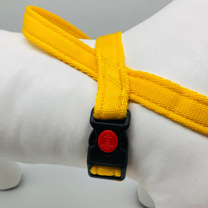 No-Pull-Geschirr von der Seite gezeigt, mit robusten Nähten und Verschluss