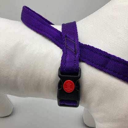 No-Pull-Geschirr von der Seite gezeigt, mit robusten Nähten und Verschluss