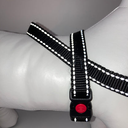 No-Pull-Geschirr von der Seite gezeigt, mit robusten Nähten und Verschluss