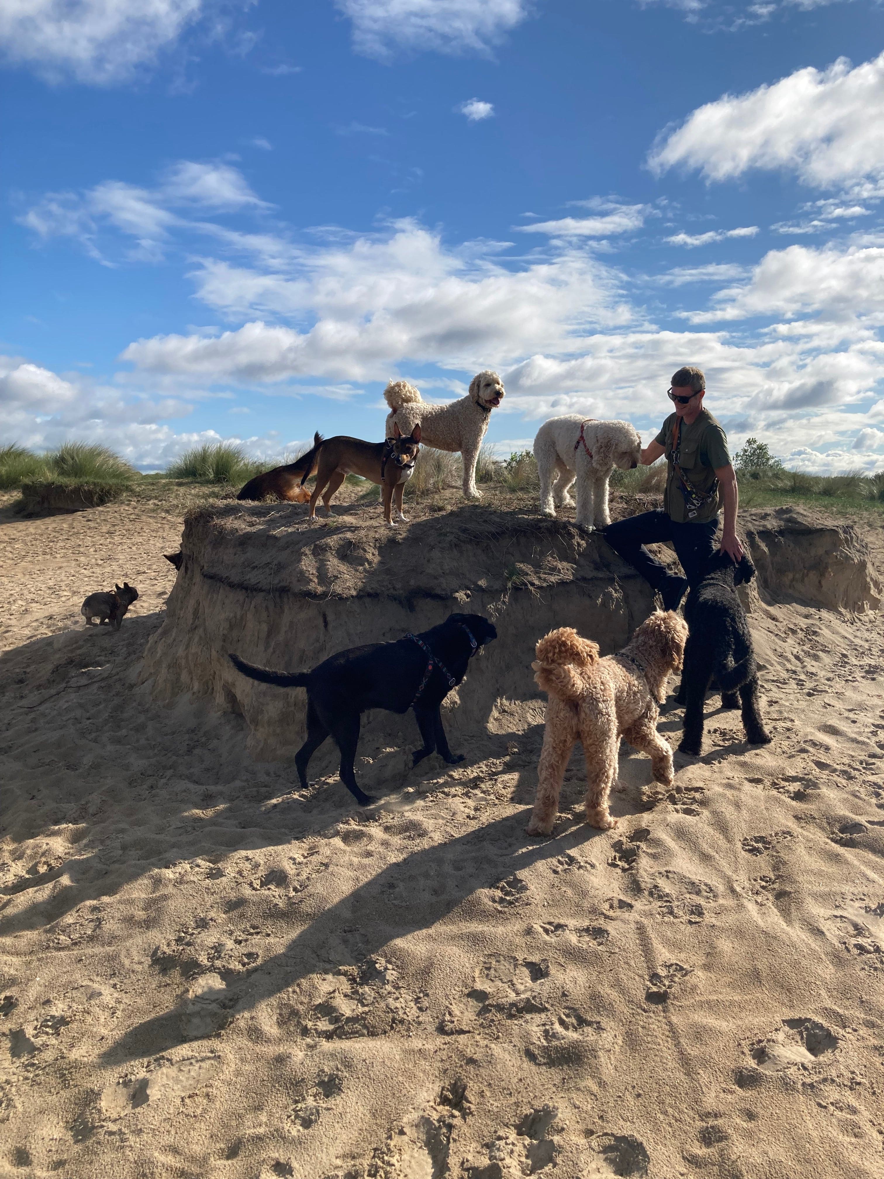 Joe mit einer großen Gruppe von Hunden