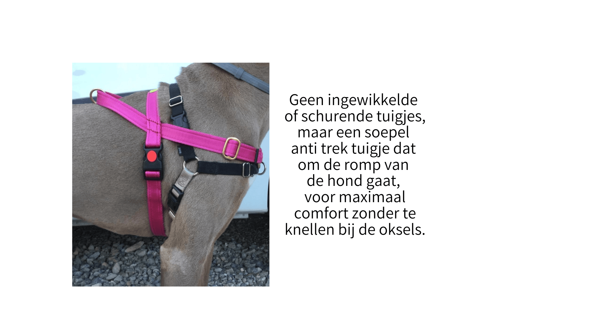 dogtools tuigje in roze laat zien dat de oksels vrij kunnen bewegen