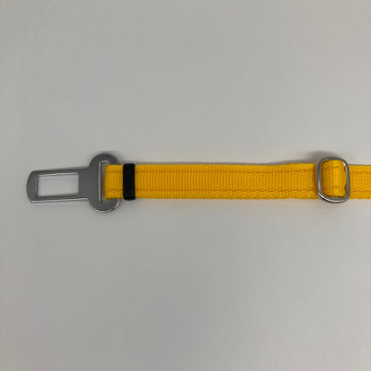 DogTools Autogurt mit robusten Nähten und Karabiner