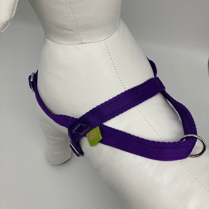 DogTools no pull Hunde Geschirr von oben auf den Rücken gezeigt, mit Schlaufe fur schnelles Greifen 