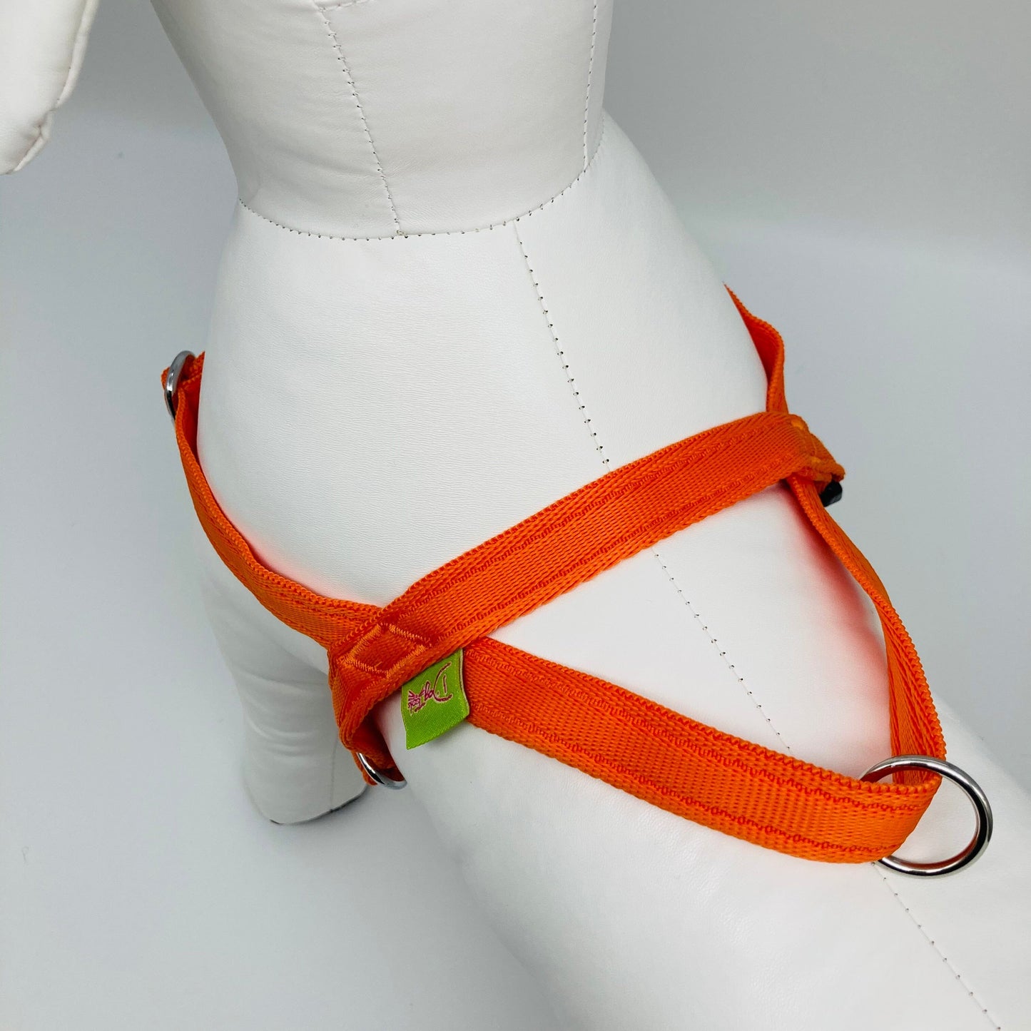 DogTools no pull Hunde Geschirr von oben auf den Rücken gezeigt, mit Schlaufe fur schnelles Greifen 