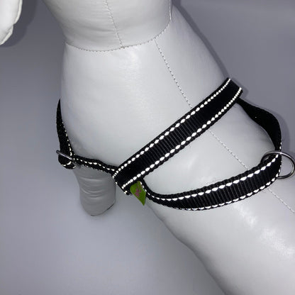 DogTools no pull Hunde Geschirr von oben auf den Rücken gezeigt, mit Schlaufe fur schnelles Greifen 